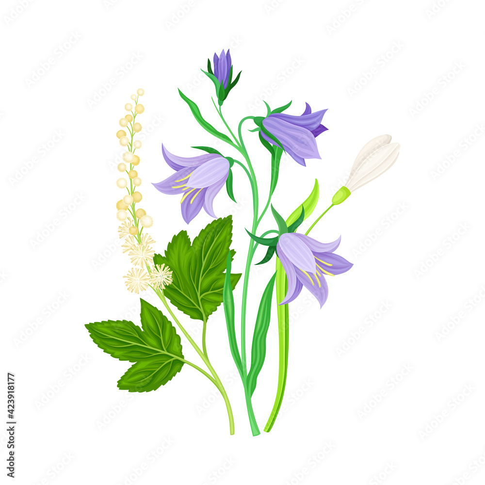 Wildflowers Composition with Meadow Plants and Flora Closeup View Vector Illustration