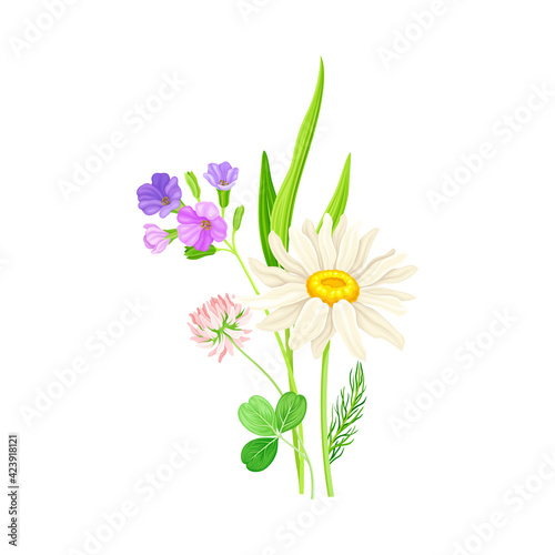 Wildflowers Composition with Meadow Plants and Flora Closeup View Vector Illustration