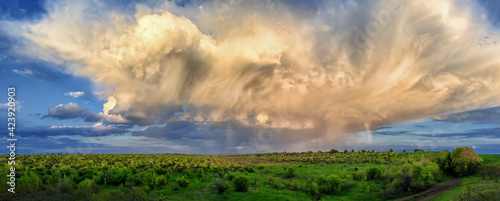 Fototapeta Naklejka Na Ścianę i Meble -  Unusual storm clouds over green hills