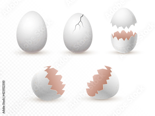 Cracked and broken empty eggs shells set isolated on transparent background. realistic vector illustration. whole and fragile broken white chicken eggs with cracks. design element. mockup template