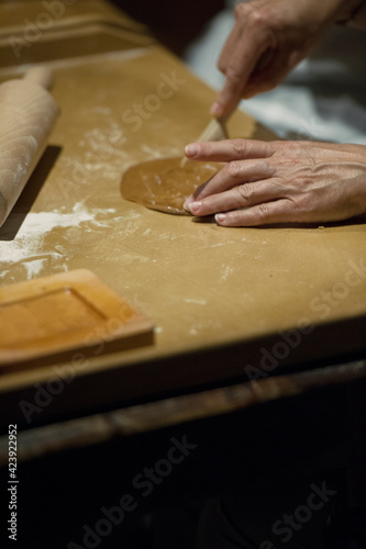 Chef woman hands making pasta. Cooking process. Raw food photography concept