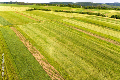Aerial view of green agricultural fields in spring with fresh vegetation after seeding season on a warm sunny day.
