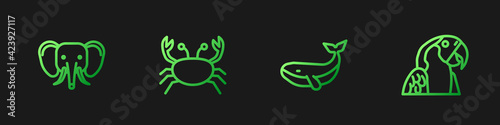 Set line Whale, Elephant, Crab and Macaw parrot. Gradient color icons. Vector