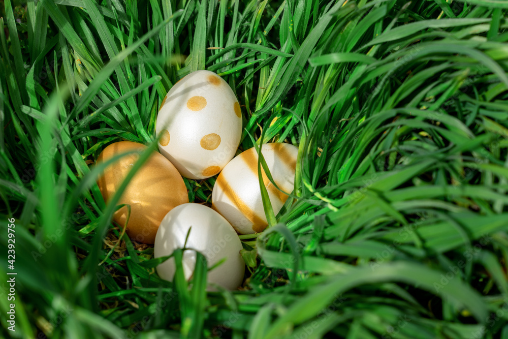 elegant gold white shiny eater eggs hiding in the big green grass elegant gold white shiny eater eggs hiding in the big green grass