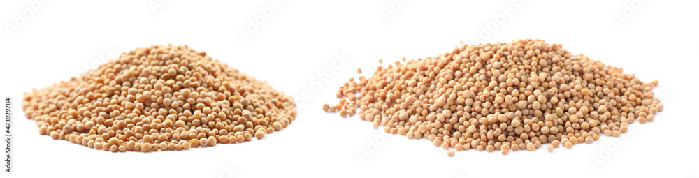 Heaps of mustard seeds on white background. Banner design Heaps of mustard seeds on white background. Banner design