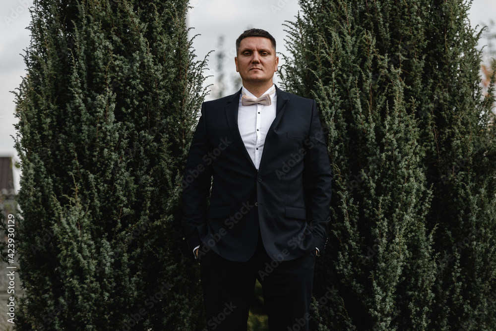 the groom stands against the background of trees. portrait of the groom in a suit and with a bow tie on the street in the spring. businessman in a suit stands with folded arms in the feed. the groom stands against the background of trees. portrait of the groom in a suit and with a bow tie on the street in the spring. businessman in a suit stands with folded arms in the feed.