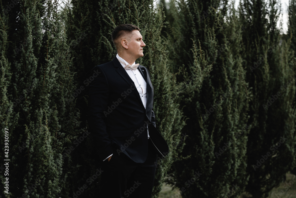 the groom stands against the background of trees. portrait of the groom in a suit and with a bow tie on the street in the spring. businessman in a suit stands with folded arms in the feed. the groom stands against the background of trees. portrait of the groom in a suit and with a bow tie on the street in the spring. businessman in a suit stands with folded arms in the feed.