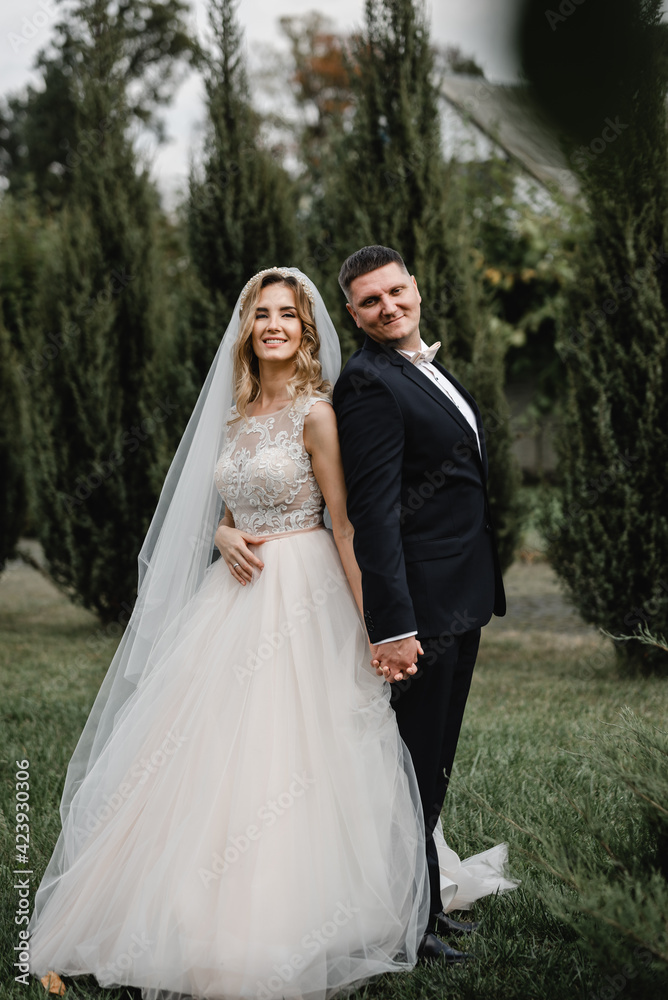 beautiful newlyweds are walking in the park. wedding couple in nature. portrait of the bride and groom. wedding day of a couple in love. thuja on the background of young people. beautiful newlyweds are walking in the park. wedding couple in nature. portrait of the bride and groom. wedding day of a couple in love. thuja on the background of young people.