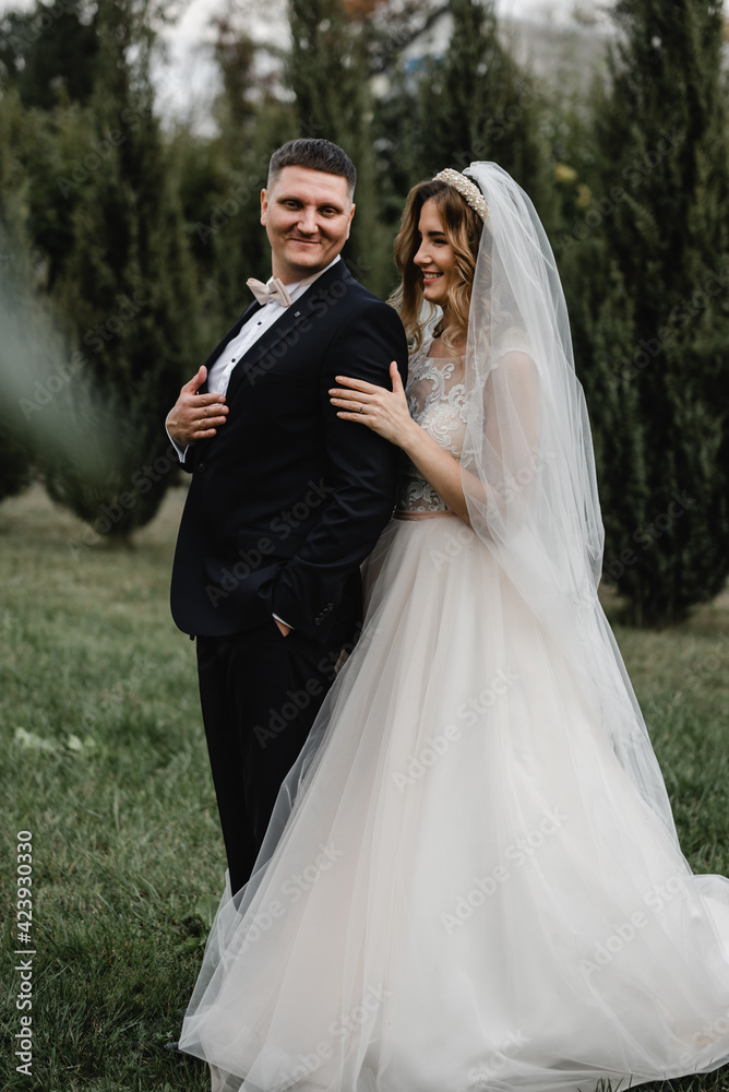 beautiful newlyweds are walking in the park. wedding couple in nature. portrait of the bride and groom. wedding day of a couple in love. thuja on the background of young people. beautiful newlyweds are walking in the park. wedding couple in nature. portrait of the bride and groom. wedding day of a couple in love. thuja on the background of young people.