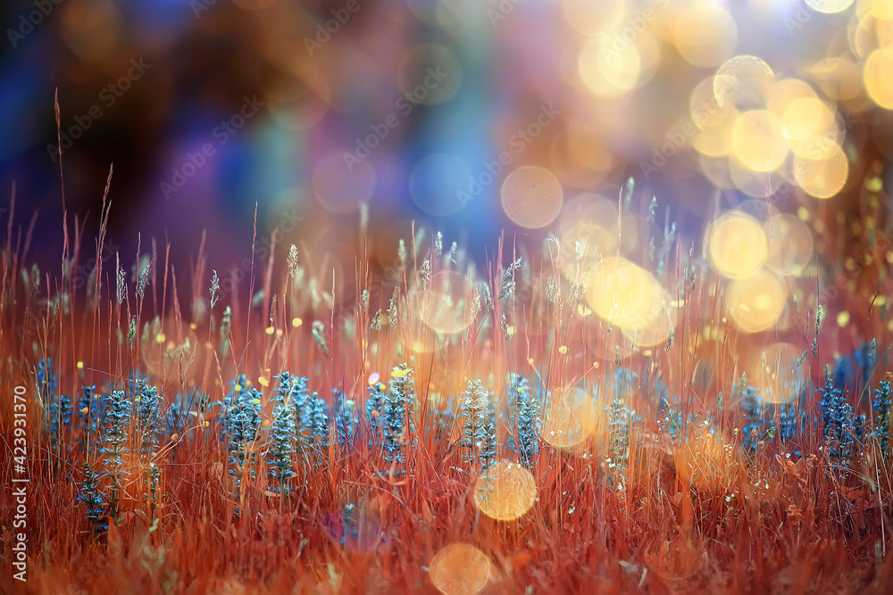 Fototapeta premium tinted wildflowers, nature warm sunny golden background, abstract botany summer