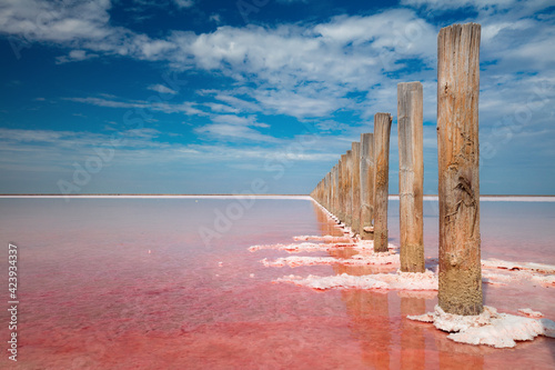 Miracle of nature - pink color of salt lake, Ukraine. Minimalistic landscape photo