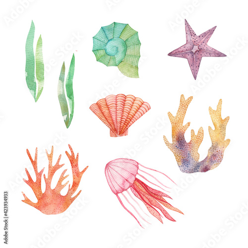 Set of watercolor illustrations of the underworld. Sea inhabitants clipart. Collection of drawings starfish, jellyfish, shell, molluscs, algae, corals. Isolated over white background.