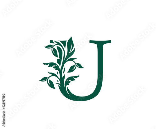 Nature U Letter Floral logo. Vintage classic ornate letter vector.