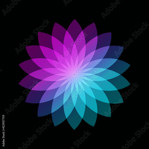Abstract floral pattern design graduated pink to blue colours on a black background . Lotus petals