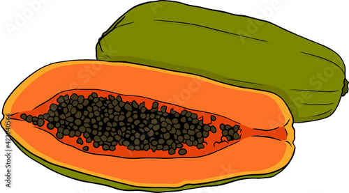 Vector hand drawn set of papaya. Delicious tropical vegetarian objects. Use for restaurant, meal, market, store, menu.