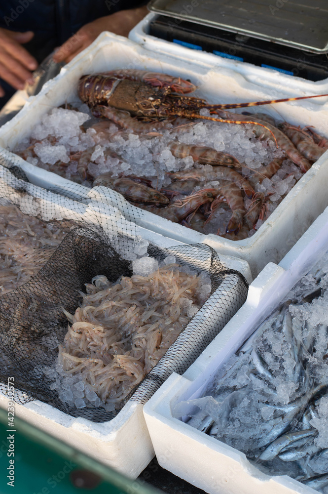 Obraz premium Fishshop in Neaples: fresh anchovies, little lobster and little white fish, called 