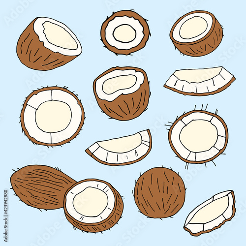 Bright vector pattern with coconut slices.