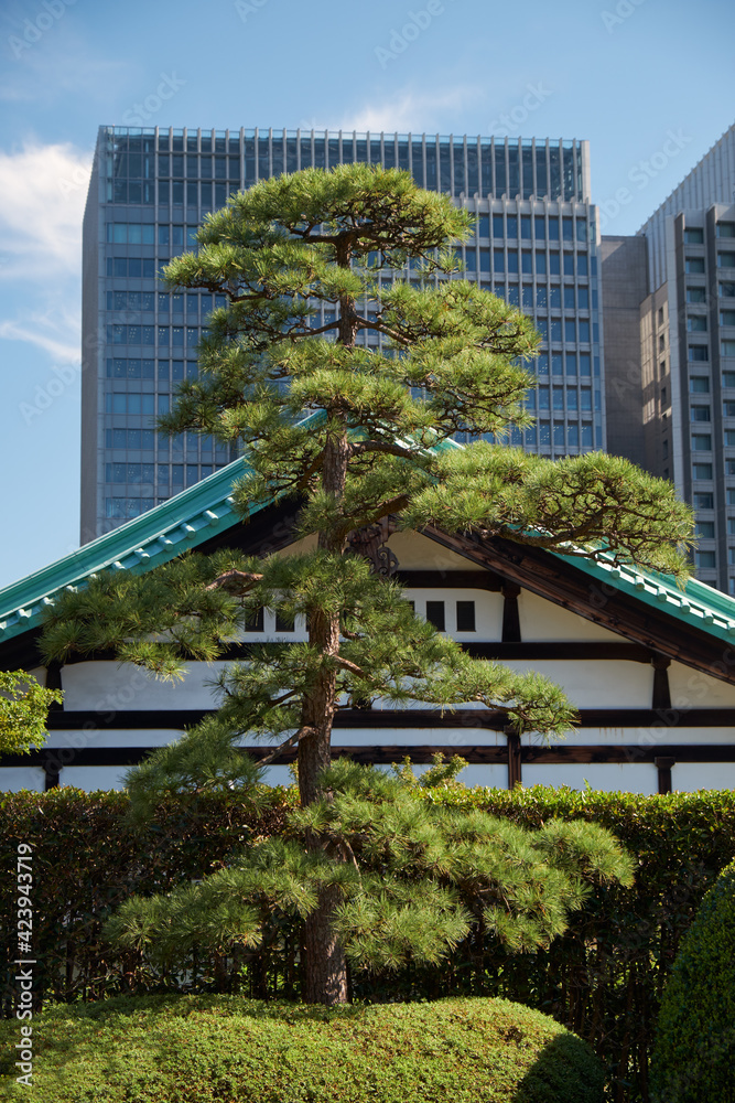 The old and modern buildings as seen from the territory of Tokyo Imperial Palace. Japan