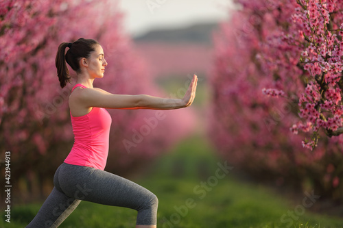Woman practicing tai chi exercise in a field at sunset photo