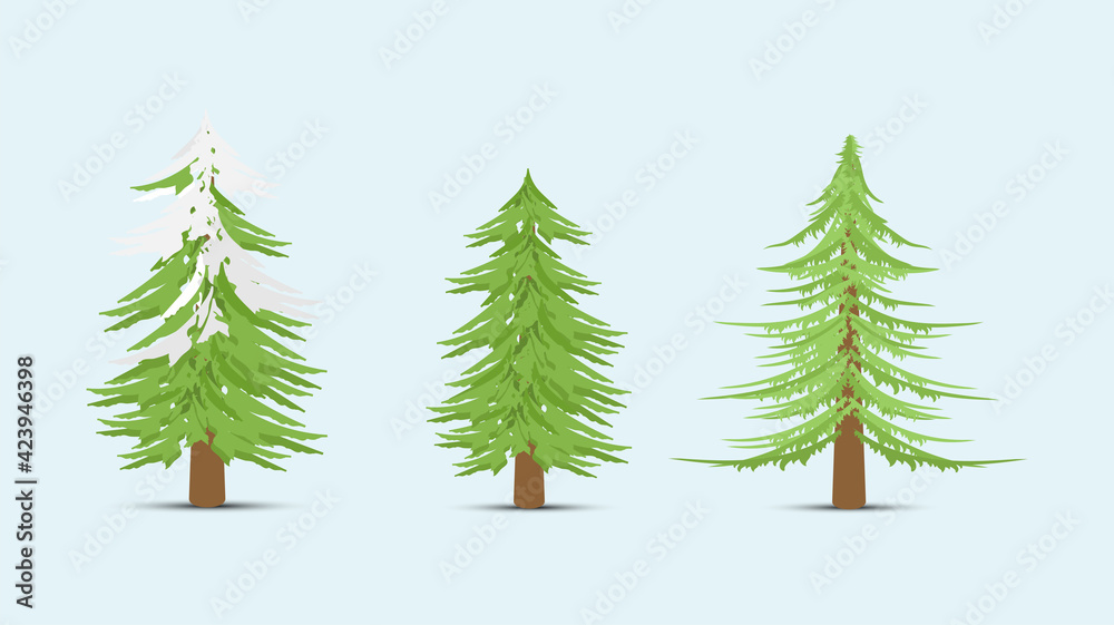 Set of flat pine trees for winter element decoration vector illustration isolated. 