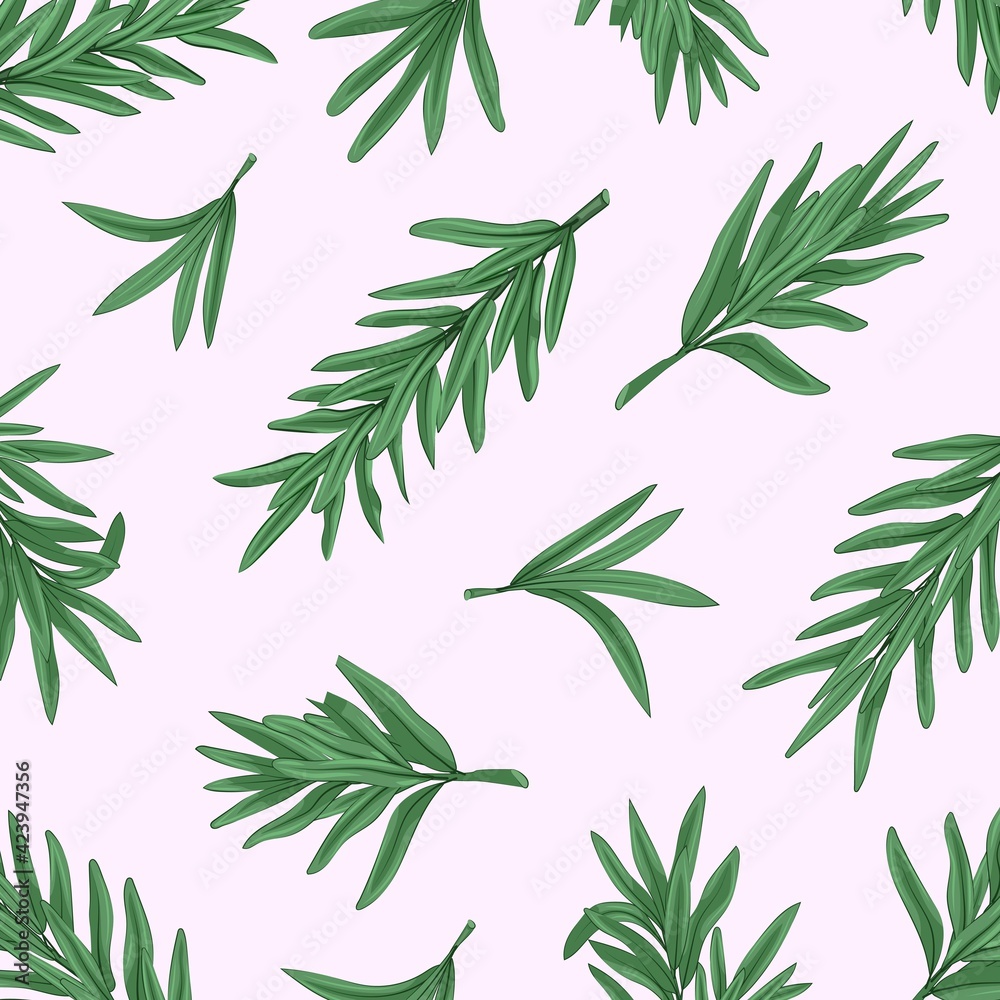 Fototapeta premium Fresh rosemary branches. Texture.