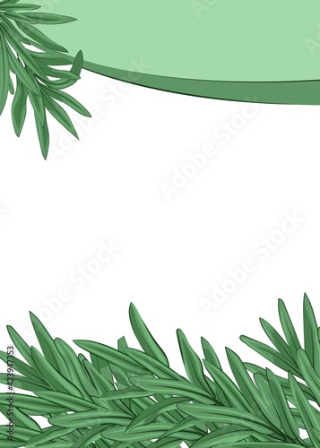 Fresh rosemary branches.