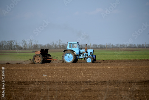 Rural business tractor in field cultivates soil. Farming in spring