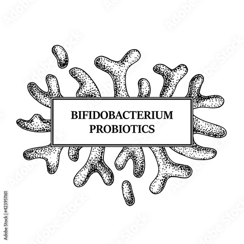 Hand drawn probiotic bifidobacterium bacteria frame. Design for packaging and medical information. Vector illustration in sketch style