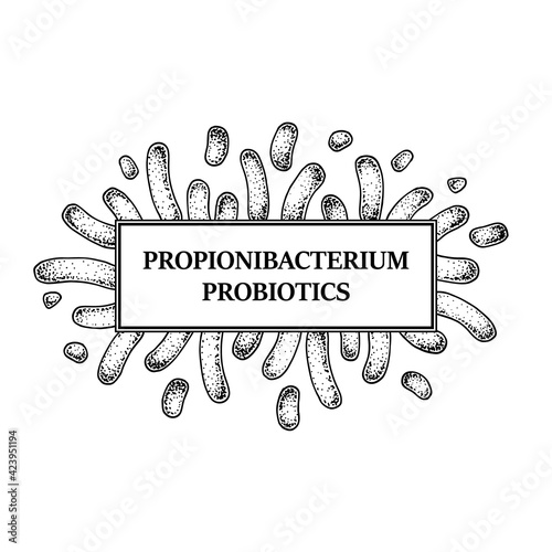 Hand drawn probiotic propionibacterium bacteria frame. Design for packaging and medical information. Vector illustration in sketch style