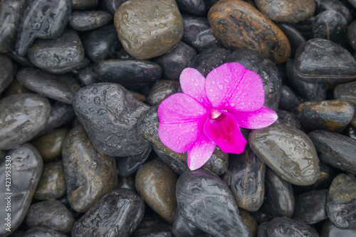 stones and flower