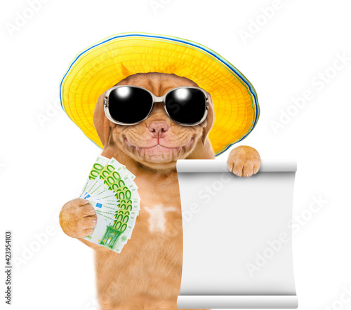 Smiling puppy wearing summer hat and sunglasses holds empty list and euro. isolated on white background © Ermolaev Alexandr