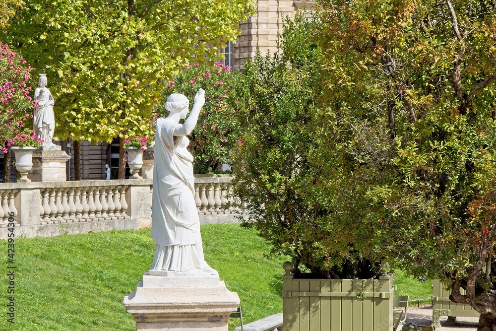 Obraz premium garden in the park