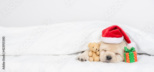 Funny Golden retriever puppy wearing red santa's hat sleeps with gift box under warm blanket on a bed at home and hugs favorite toy bear. Empty space for text