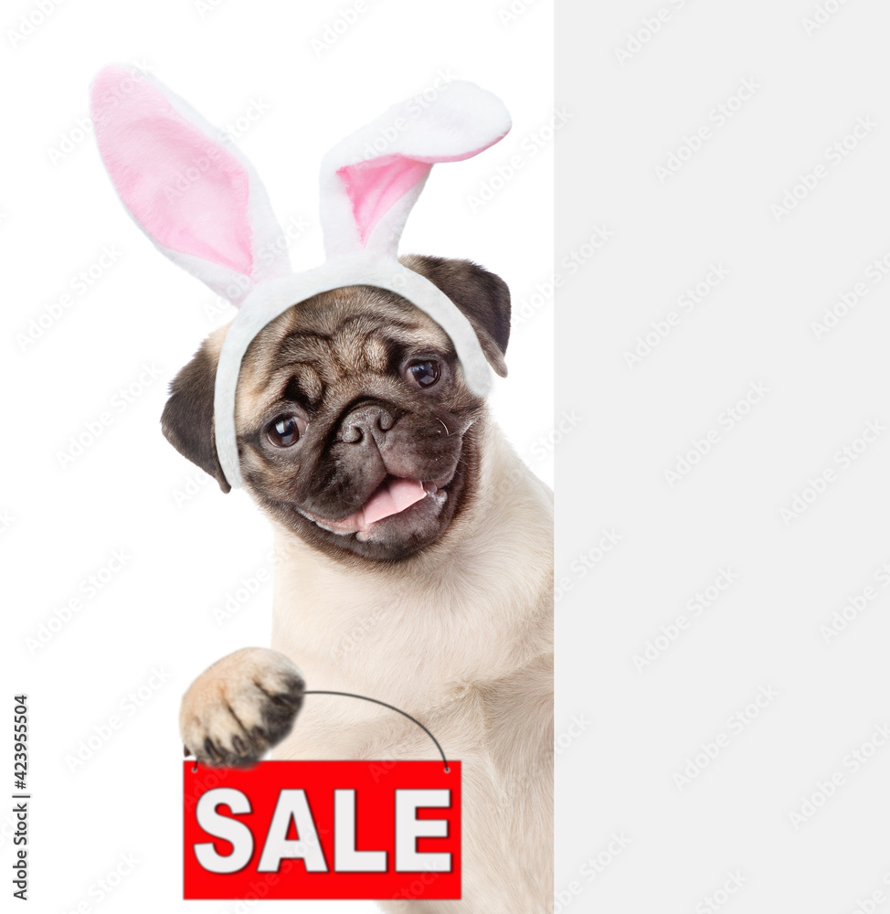 Pug puppy wearing easter rabbits ears holds sales symbol behind empty white banner. Isolated on white background
