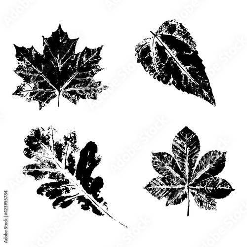 Ink print leaves. Black ink prints of leaves of trees and bushes