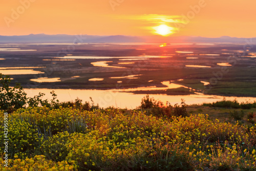 Scenic summer sunset in the Arctic. View from the hill to the river valley and tundra. Many wild yellow flowers. Blooming tundra plants. The nature of the polar region. Chukotka, Siberia, Russia.