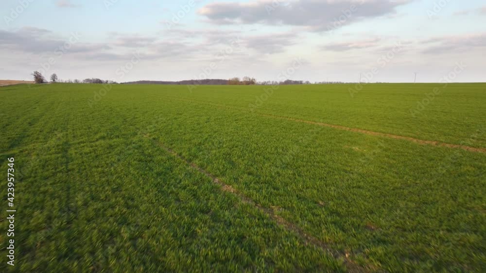 Aerial above view of spring green agriculture field. 4k drone footage of beautiful meadow in countryside. Aerial above view of spring green agriculture field. 4k drone footage of beautiful meadow in countryside.