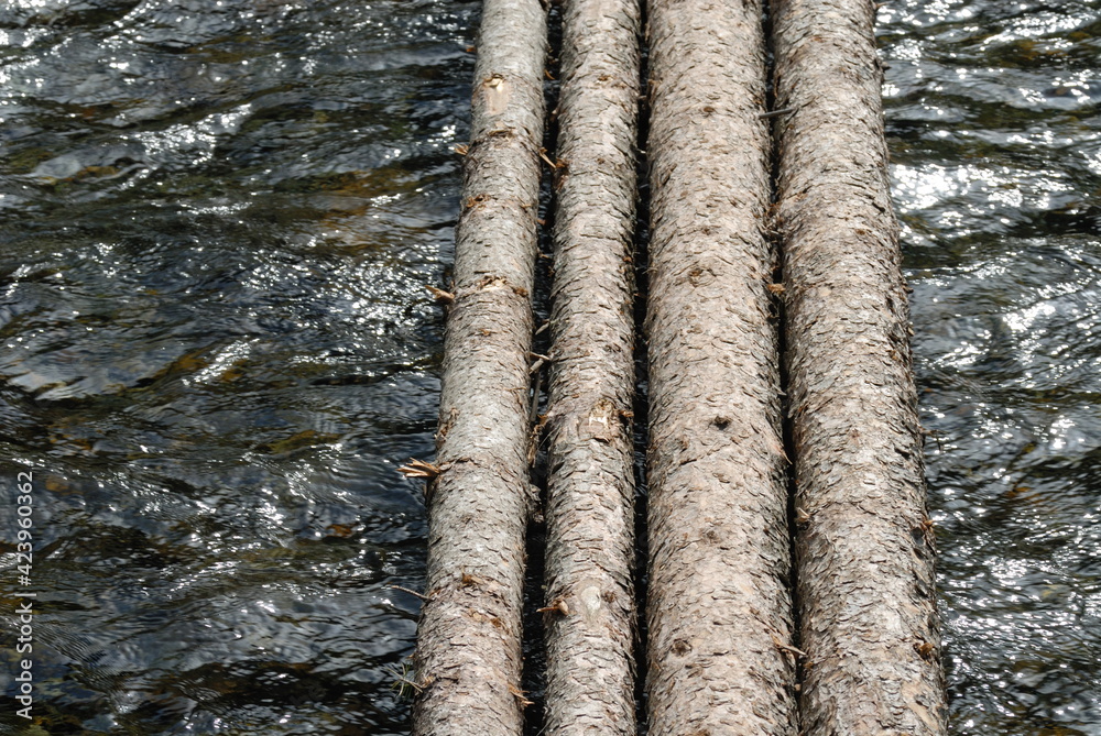 Fototapeta premium Log bridge on a mountain river