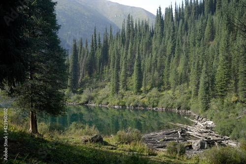 Kelsey lake summer day mountains view photo