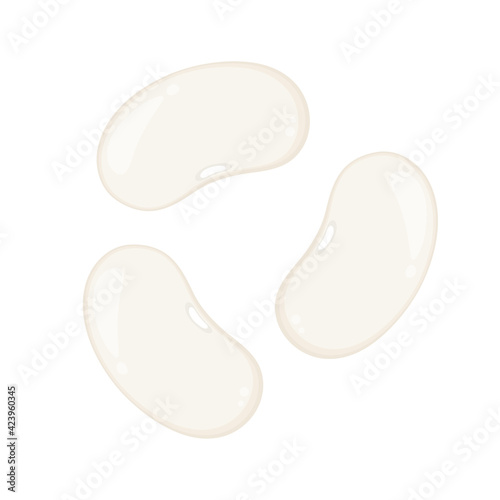 White kidney beans vector. White kidney beans on white background.