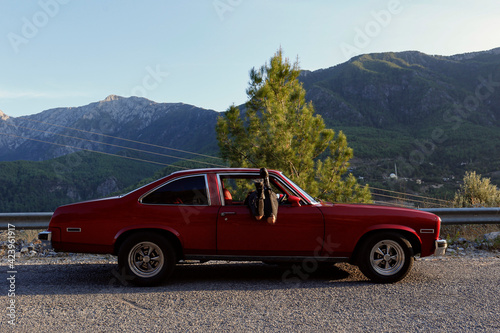 Young carefree woman wearing black ripped jeans and moto boots with her legs sticking out of th window of cherry red muscle car. Traveling alone concept. Copy space, background, mountain view.