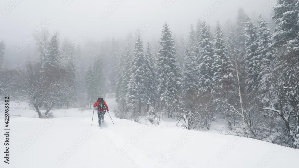Traveler with snowshoes at snow forest in the mountains Traveler with snowshoes at snow forest in the mountains