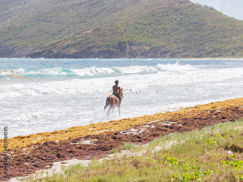 Young man riding a horse on the beach