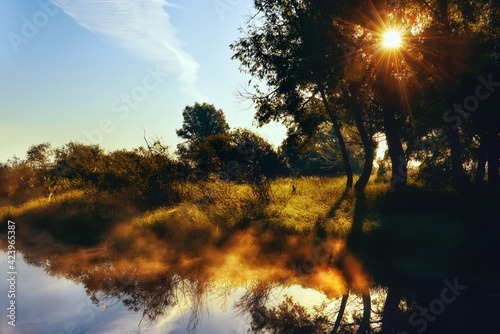 Beautiful morning on the river. fog over the water  sun and lush vegetation along the banks.