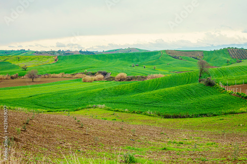 Amazing landscape with green rolling hills in spring 