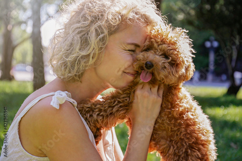 Adorable maltipoo puppy in arms of its loving owner. Adult woman outdoors playing with her small adorable doggy in the park. A hybrid between the maltese dog and miniature poodle. Close up, copy space