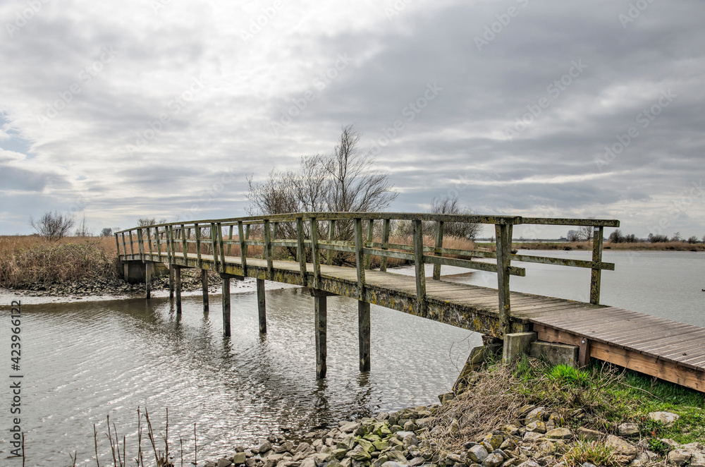 Narrow wooden pedestrian bridge in Tiendgorzen nature reserve on the island of Hoeksche Waard, The Netherlands
