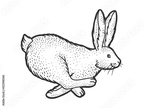 running rabbit sketch engraving vector illustration. T-shirt apparel print design. Scratch board imitation. Black and white hand drawn image.