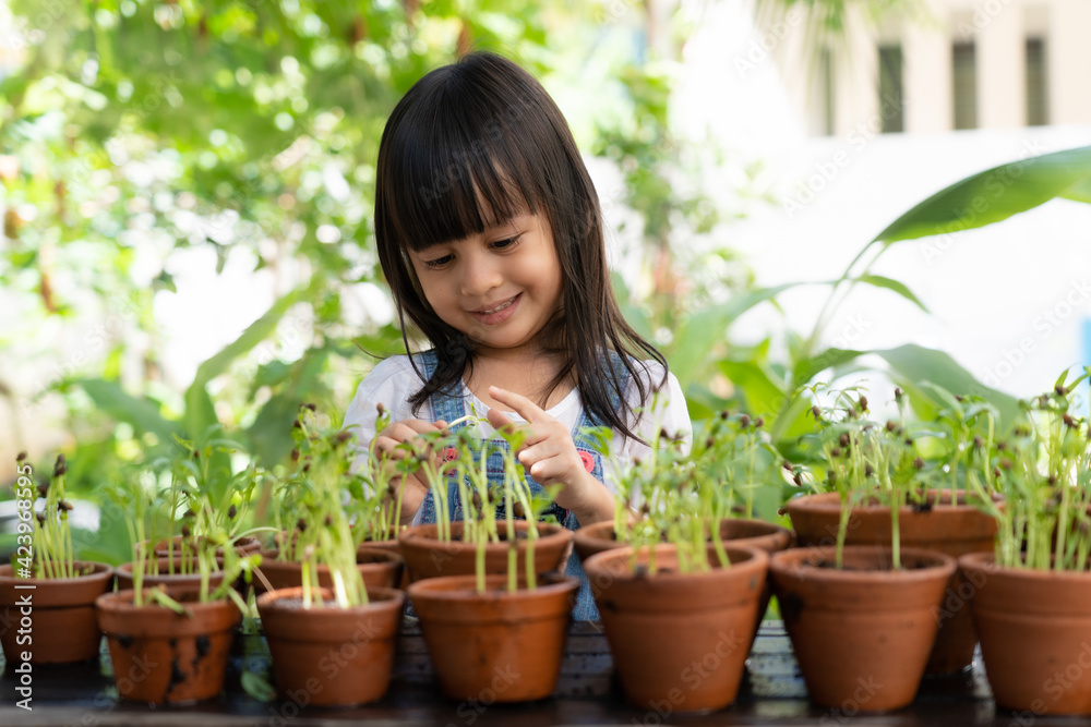 Active asian little girl watching on the seed of the plant to learn how the plant is growing in the garden outside the house, concept of kid learning activity for the nature and planting. Active asian little girl watching on the seed of the plant to learn how the plant is growing in the garden outside the house, concept of kid learning activity for the nature and planting.