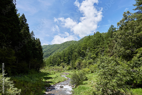 夏の中俣せせらぎ公園と鎖川 長野県 朝日村 © Nagawa